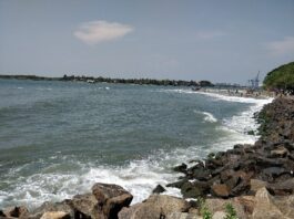 Kochi Beach