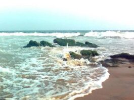 Bheemili Beach in Visakhapatnam