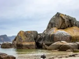 Boulders Beach South Africa