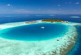 Banana Reef, Maldives