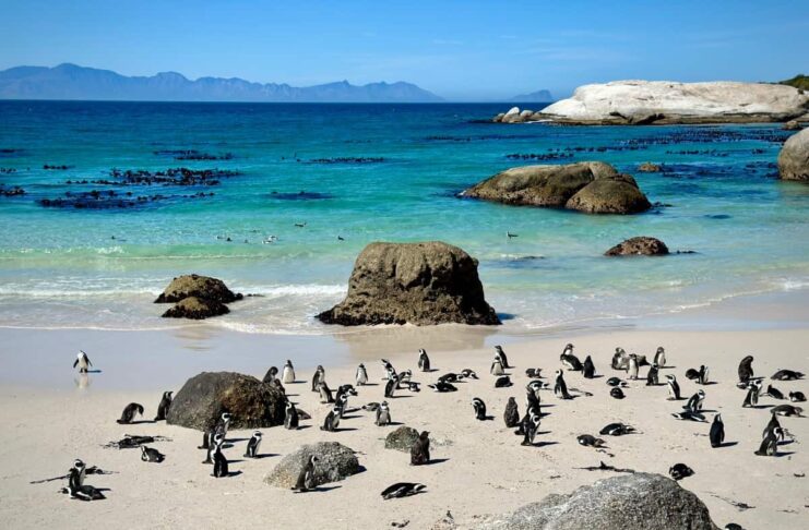 Beaches in South Africa