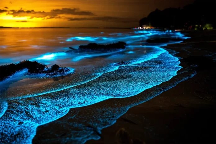 Unique beaches in the World