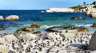 Boulders Beach