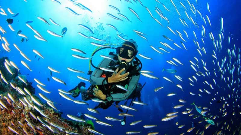 Scuba Diving in Goa