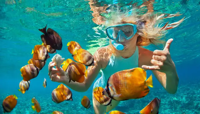 Snorkeling in Goa