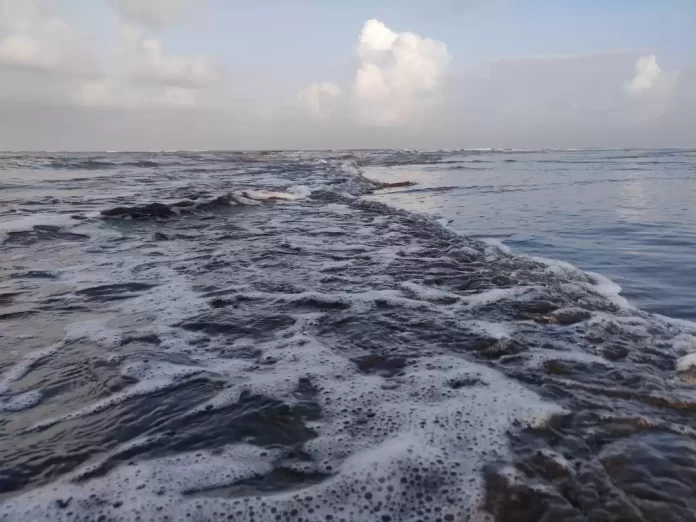 Kalamb Beach in Mumbai by Cozybeaches