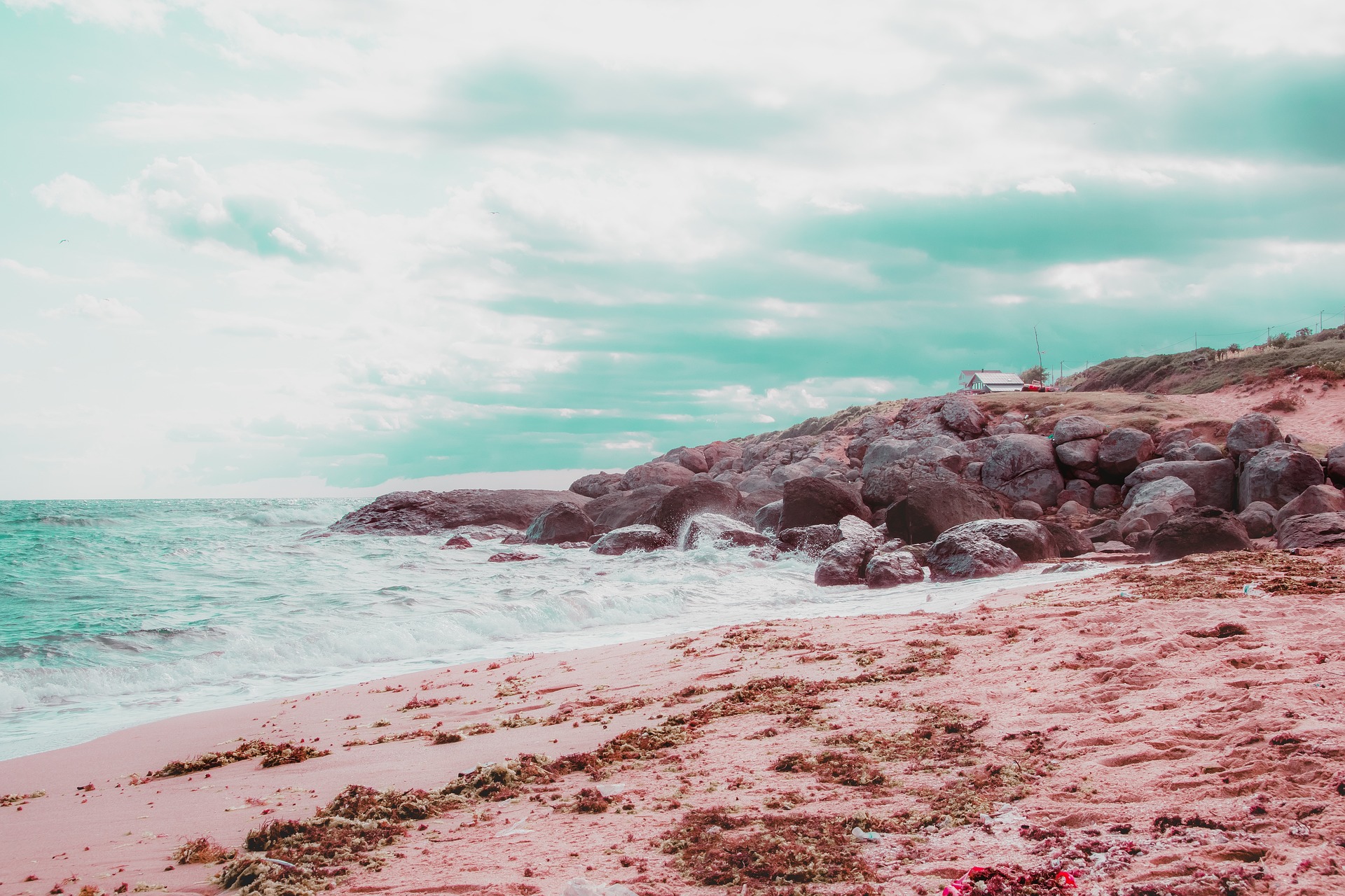 Pink Sands Beach by CB