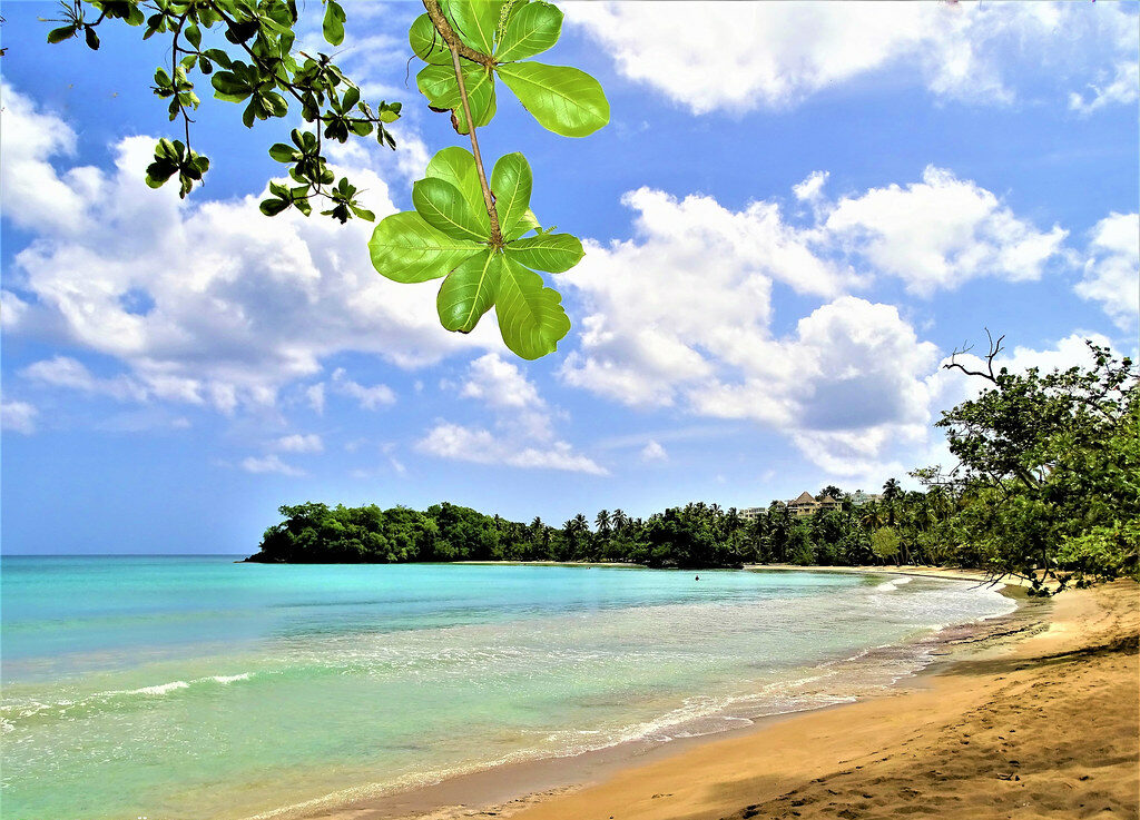 Playa Bonita Beach in Dominican Republic, Top 15 Beaches