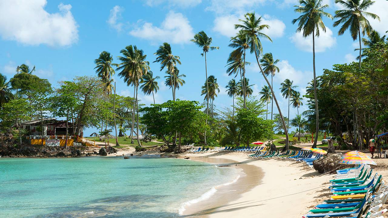 Playa Rincon Beach in Dominican Republic 