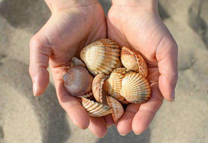Beachcombing by CB