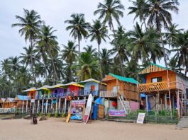 Best Beach Shacks in Goa