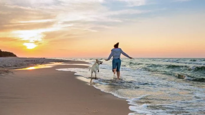 Best Pet-Friendly Beaches in India