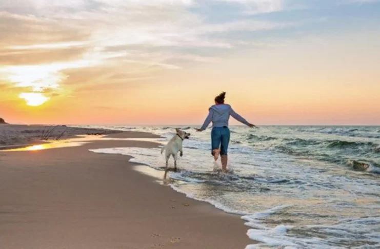 Best Pet-Friendly Beaches in India