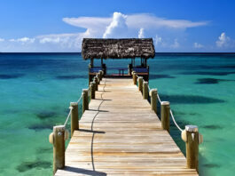 Top 12 Photography Places in Goa