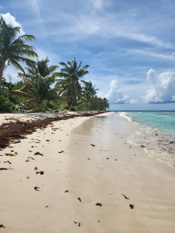 Flamenco Beach Puerto by CB.jpg