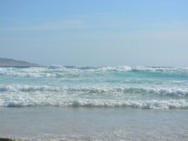 Lucky Bay Beach Esperance