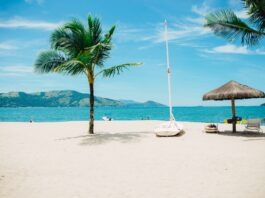 Best Beaches to Visit in November best beaches to visit in november By CB