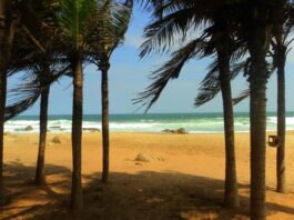 Best Beaches in India During Christmas